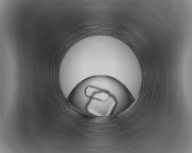X0000112720136200908200954