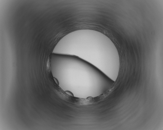 X0000112720143200908200954