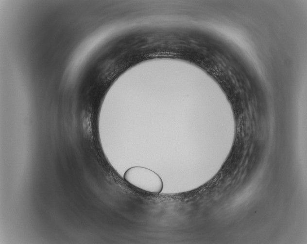 X0000112720146200908200953