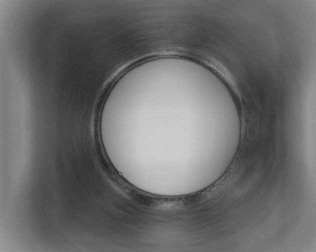 X0000112720155200908200953