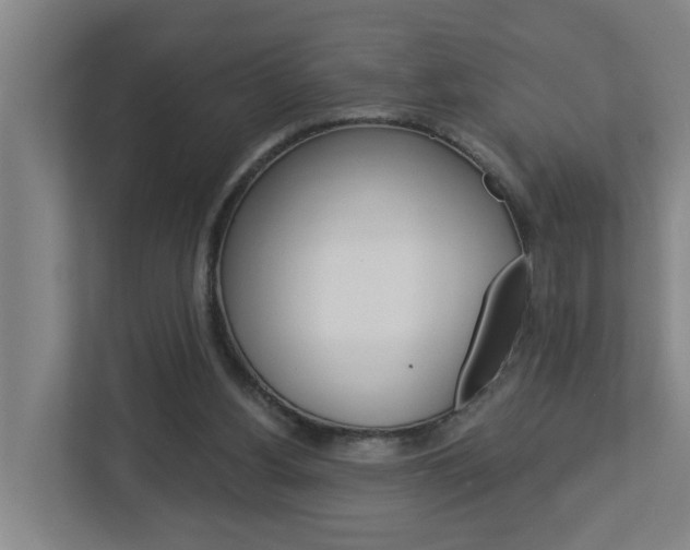 X0000112720156200908200953