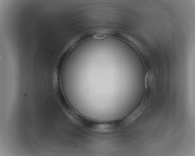 X0000112720158200908200953