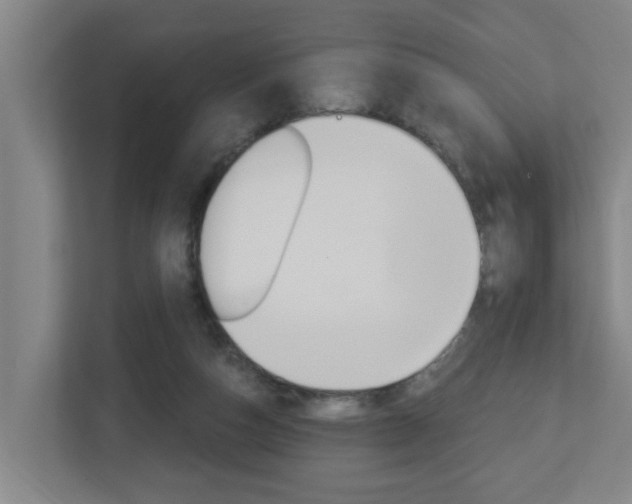 X0000112720162200908200953