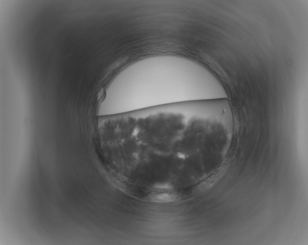 X0000112720163200908200953
