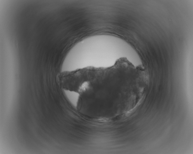 X0000112720175200908200954