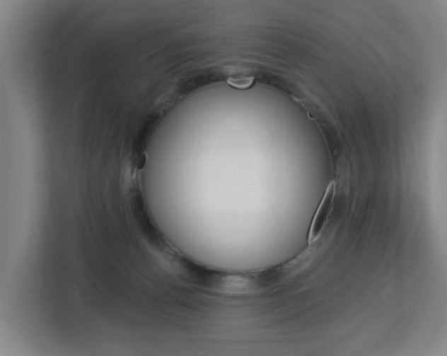 X0000112720176200908200954