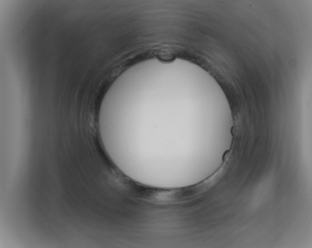 X0000112720178200908200954