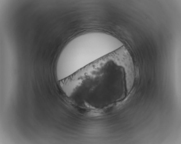 X0000112720179200908200954