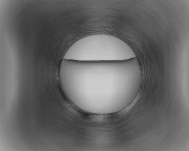 X0000112720182200908200954