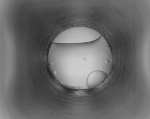 X0000112720183200908200954