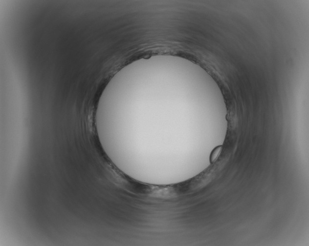X0000112720185200908200954