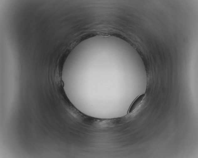 X0000112720186200908200954