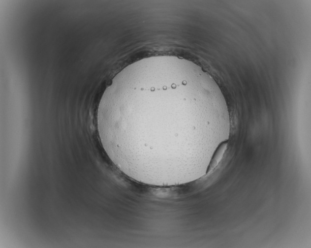 X0000112720187200908200954