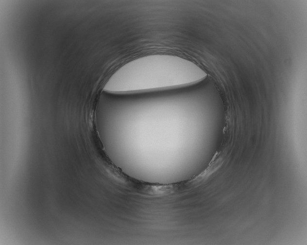 X0000112720188200908200954