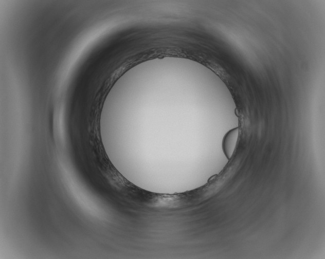 X0000112720189200908200954