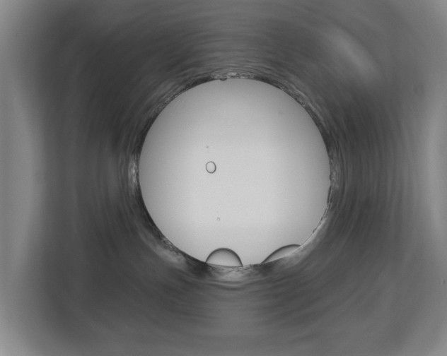 X0000112720191200908200954
