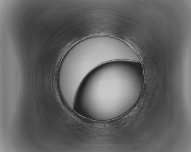 X0000112720193200908200953