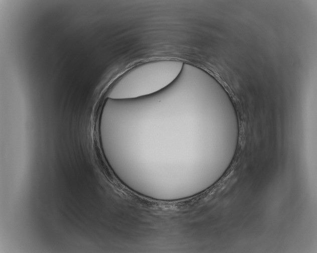 X0000112720194200908200953