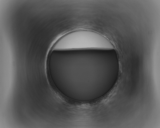 X0000112720196200908200953