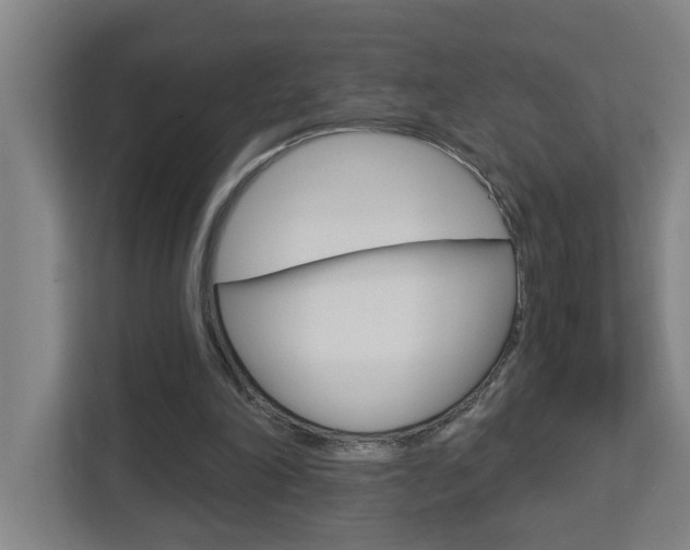 X0000112720198200908200953
