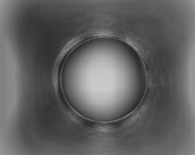 X0000112720199200908200953