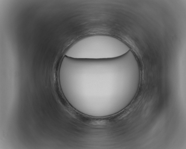 X0000112720202200908200953