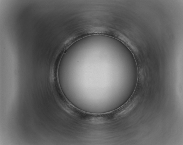 X0000112720203200908200953