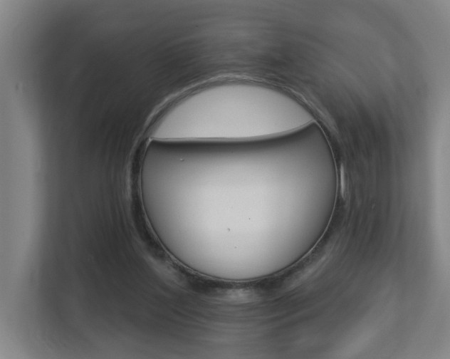 X0000112720204200908200953
