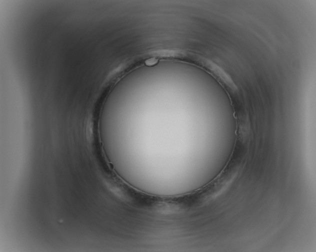 X0000112720207200908200953