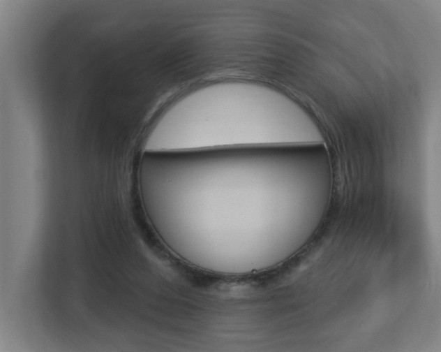 X0000112720208200908200953