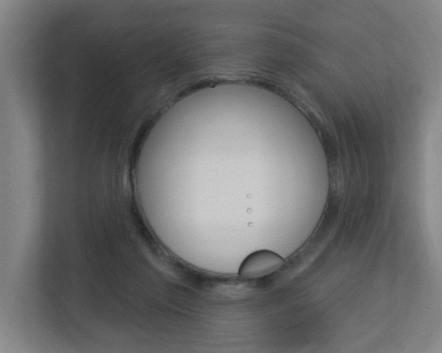 X0000112720213200908200953