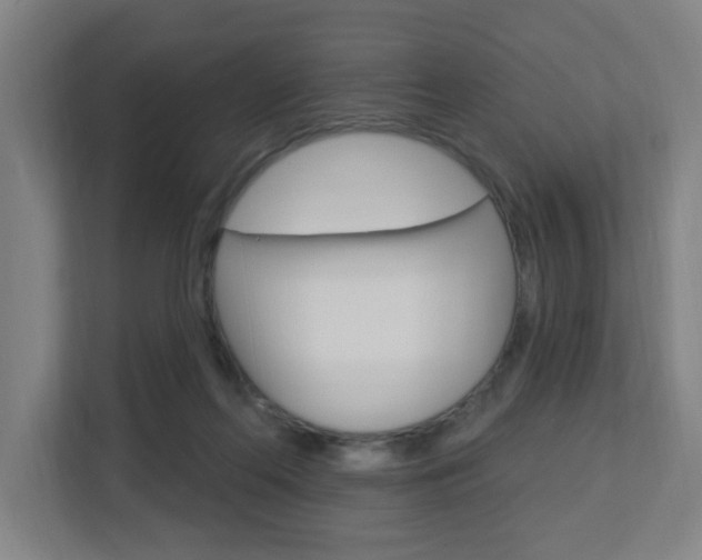 X0000112720214200908200953