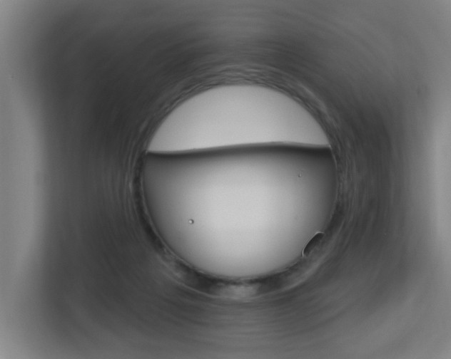 X0000112720217200908200953