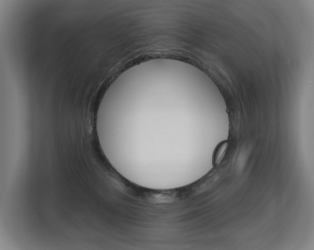 X0000112720232200908200953