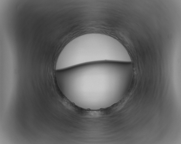 X0000112720233200908200953