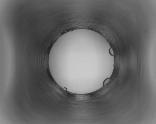 X0000112720234200908200953