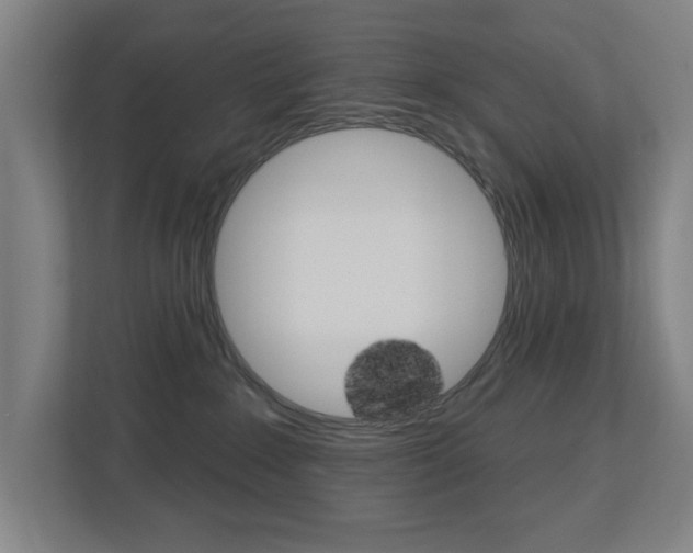 X0000112720235200908200953
