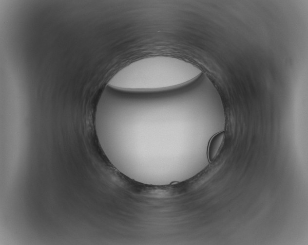 X0000112720236200908200953