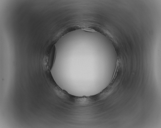 X0000112720237200908200953
