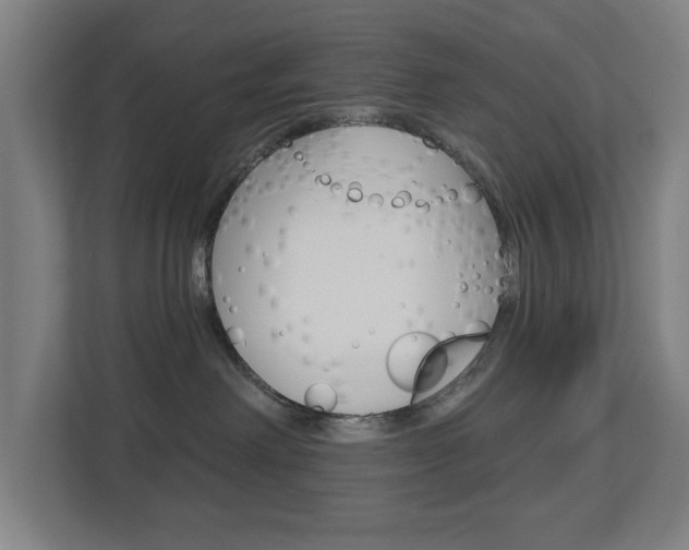 X0000112720238200908200953