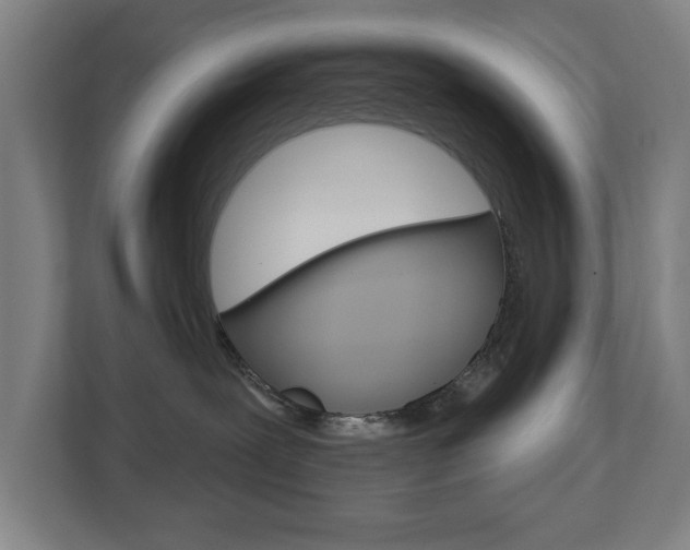 X0000112720239200908200953