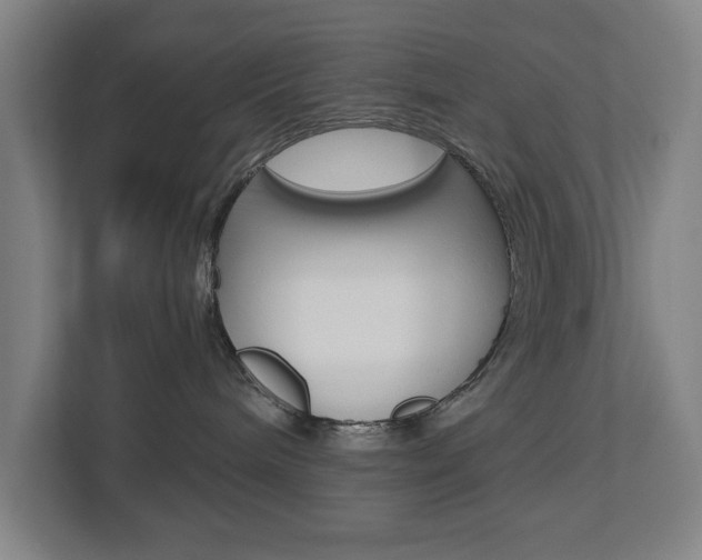 X0000112720240200908200953