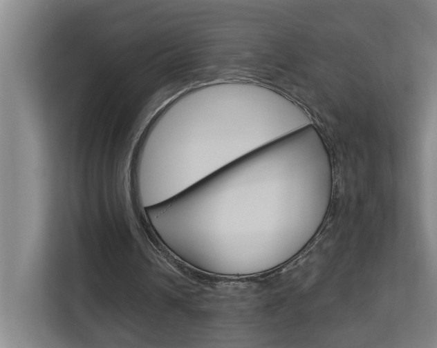 X0000112720242200908200952