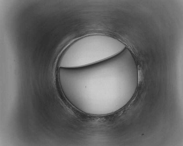 X0000112720243200908200952
