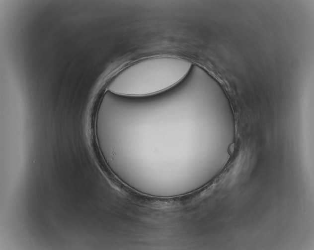 X0000112720245200908200952
