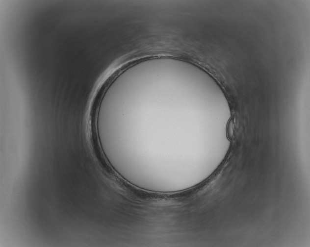 X0000112720246200908200952