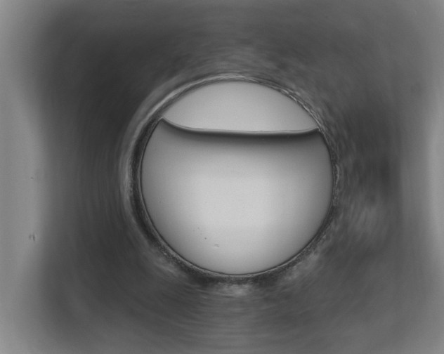 X0000112720247200908200952
