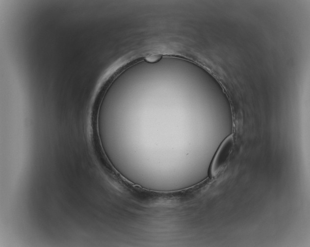 X0000112720248200908200952