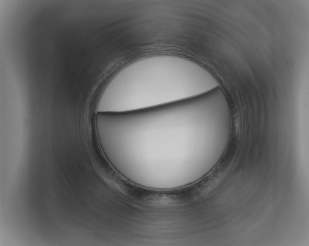 X0000112720254200908200952