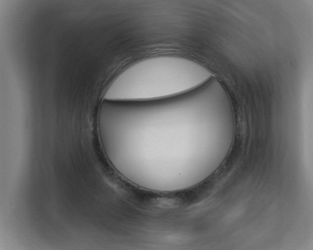 X0000112720255200908200952